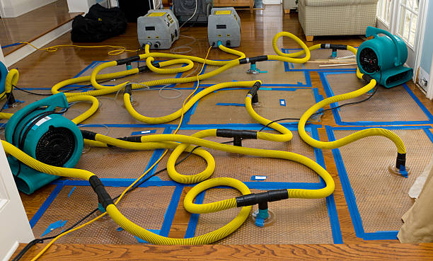 Professional Water Extraction technician working in West Union, OH